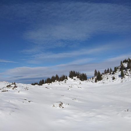 Le Chalet Theys Экстерьер фото